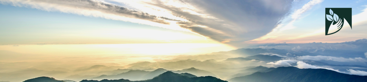 Sustainability Header